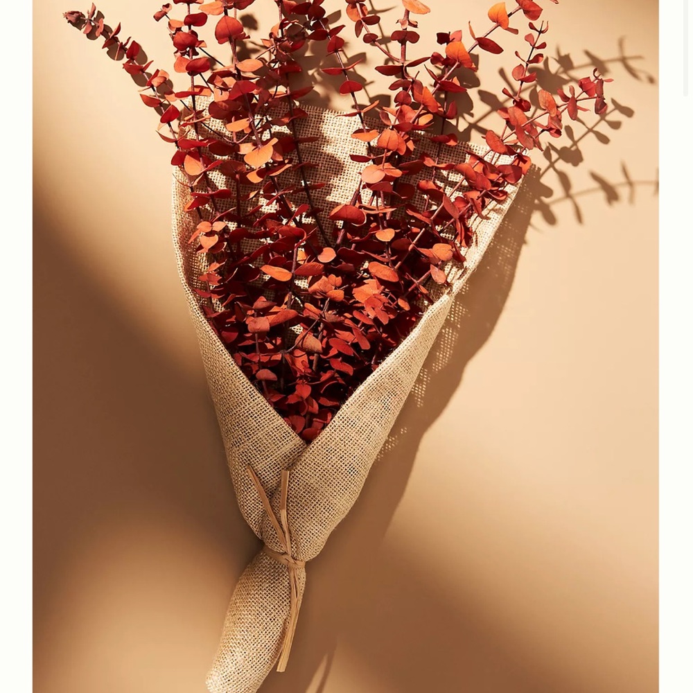 Anthropologie Dried Eucalyptus Bouquet🌾